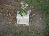 image of grave number 153336